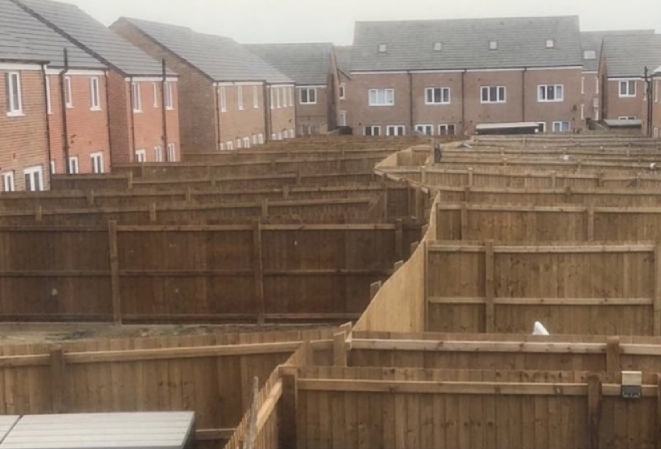 Simon Coates tweet media