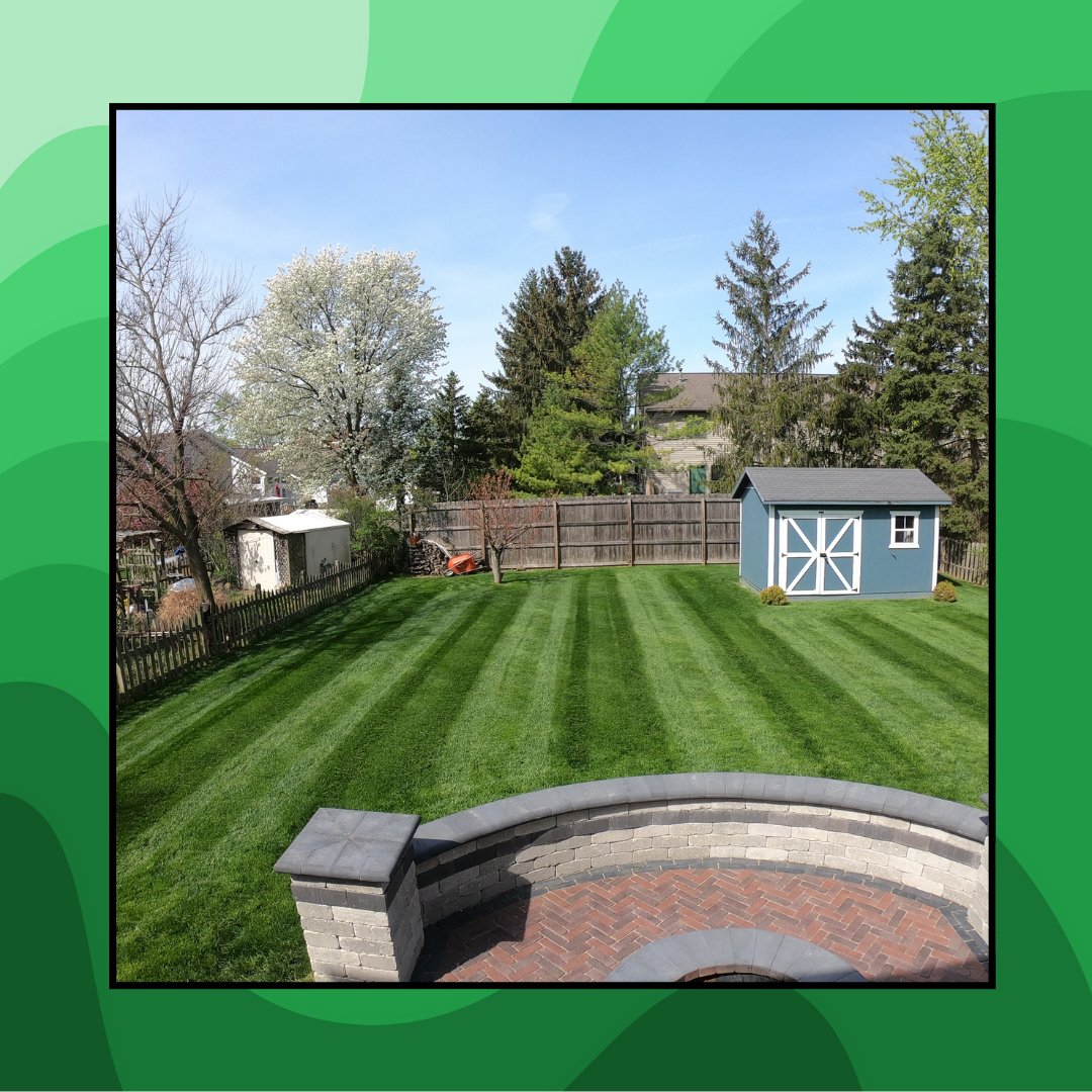 ApLandscaping's tweet photo. There's nothing like the look of a freshly mowed lawn. Our mowing services ensure your yard always looks perfect. Reach out today to give your grass the care it deserves! #MowingService
https://t.co/BxJ4G99wwd https://t.co/dX0oG9GPEL