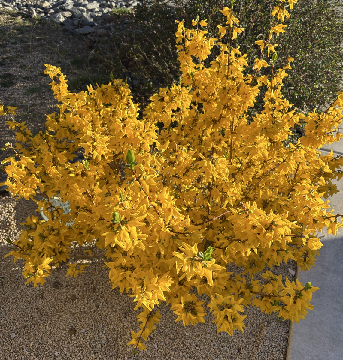 James R Us tweet media