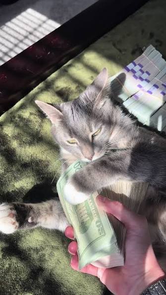 vx-underground tweet media