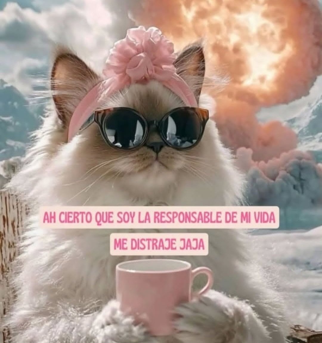 Beryl 🧶 tweet media