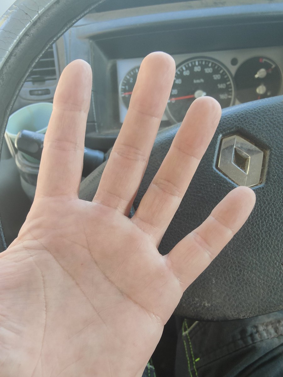 cheshire cat tweet media