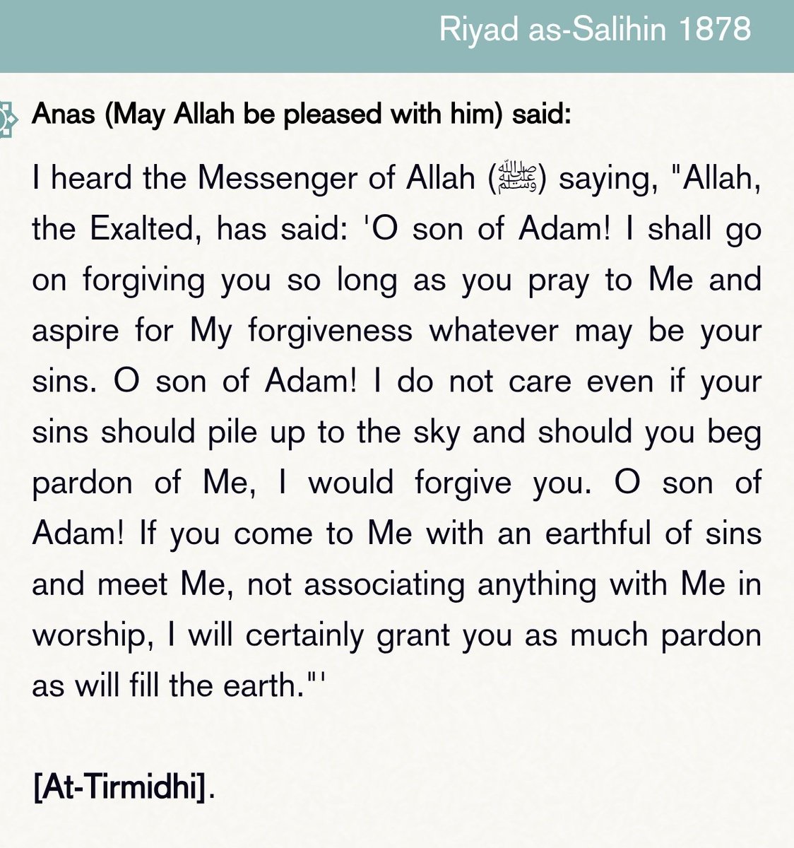 منهاج السنه tweet media