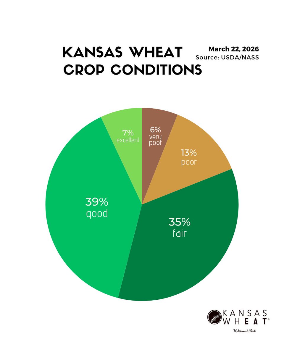 KansasWheat tweet media