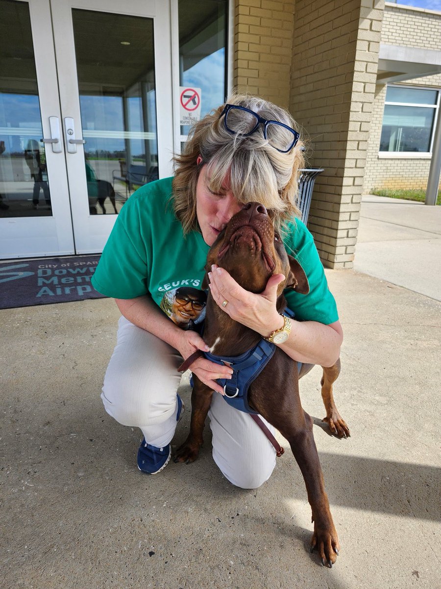 Pilots N Paws tweet media