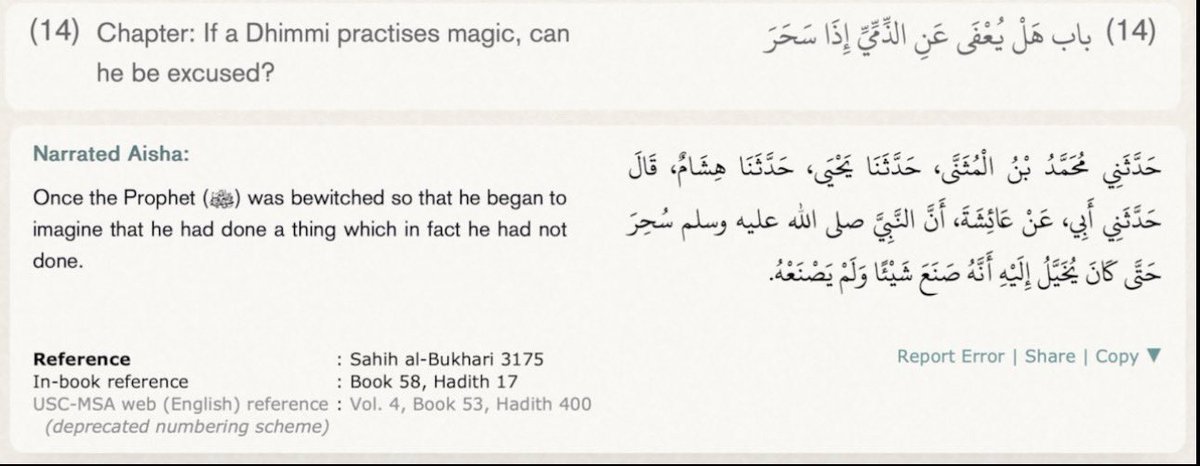 ⁜ Steven B.A. tweet media