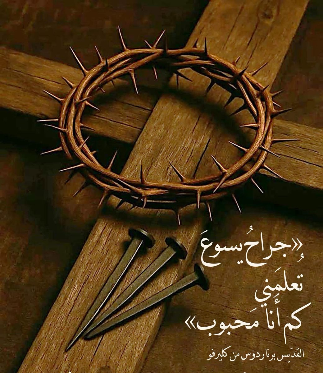 الدبلوماسية tweet media