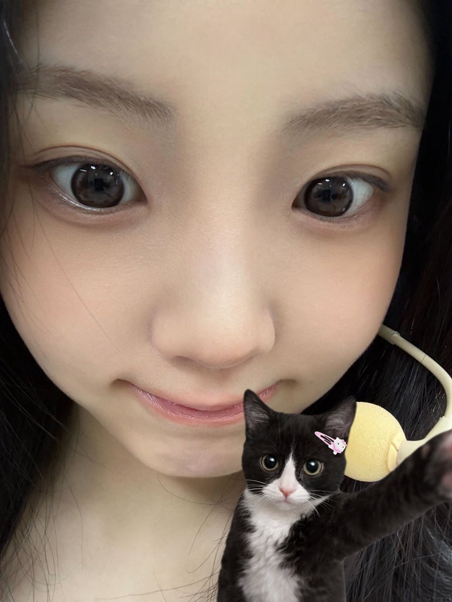 meow-hee! ˙𐃷˙ tweet media