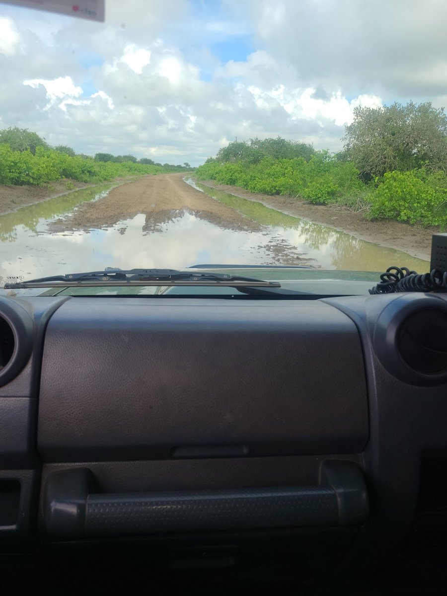 Fondo NZ tweet media