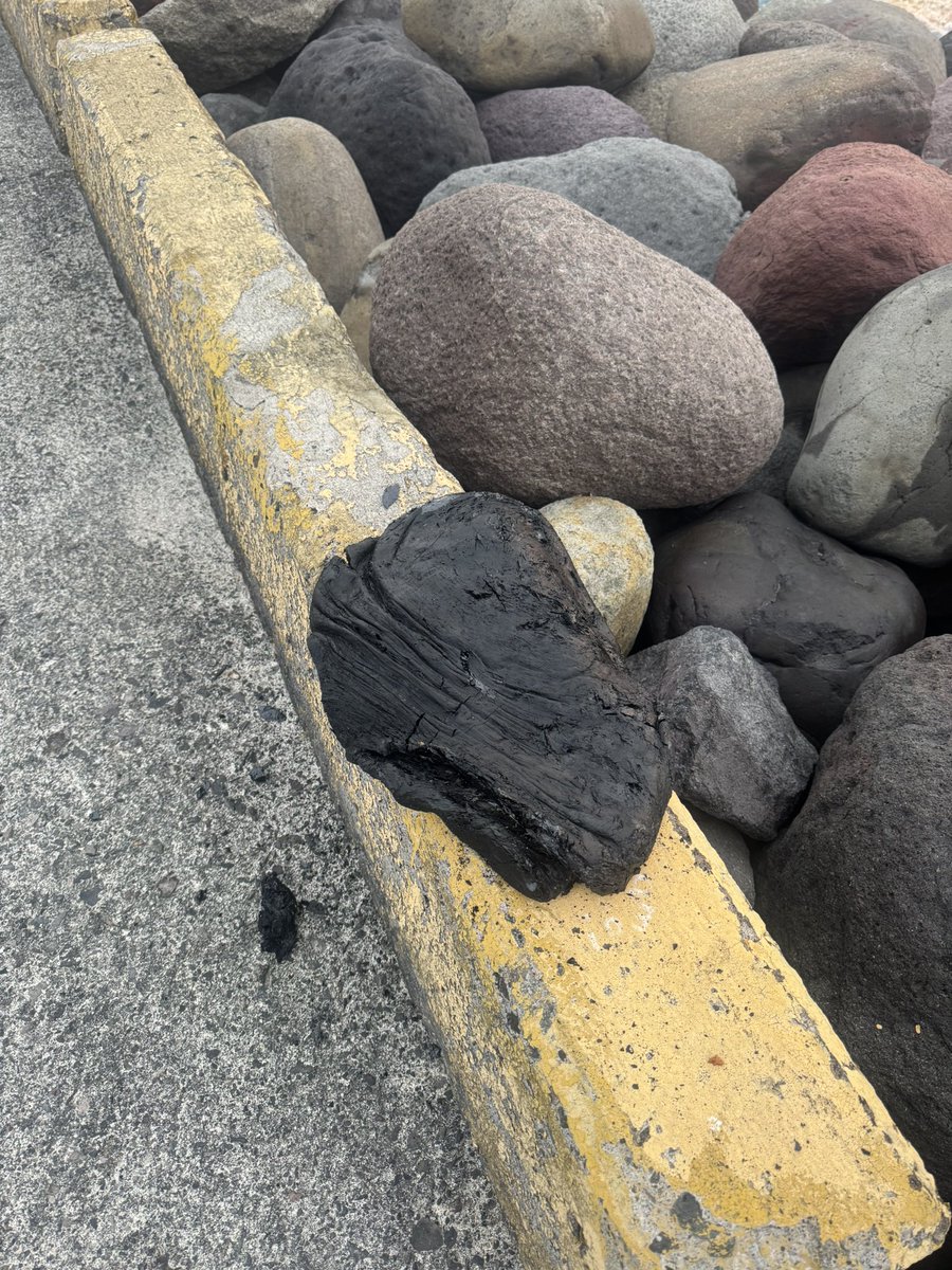 Teresa Mendoza 💜 tweet media