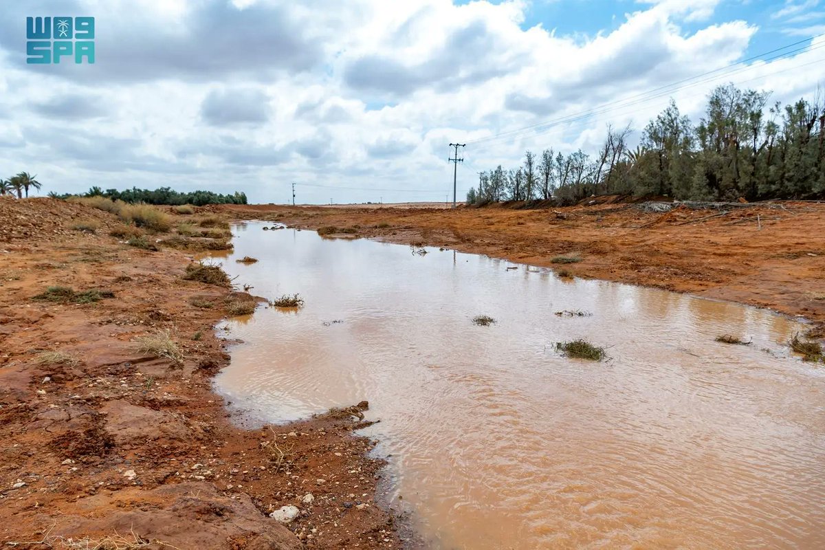 واس جودة الحياة tweet media