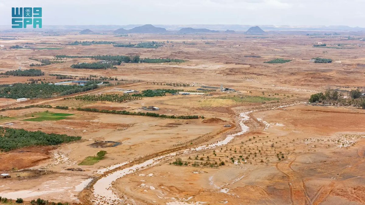 واس جودة الحياة tweet media