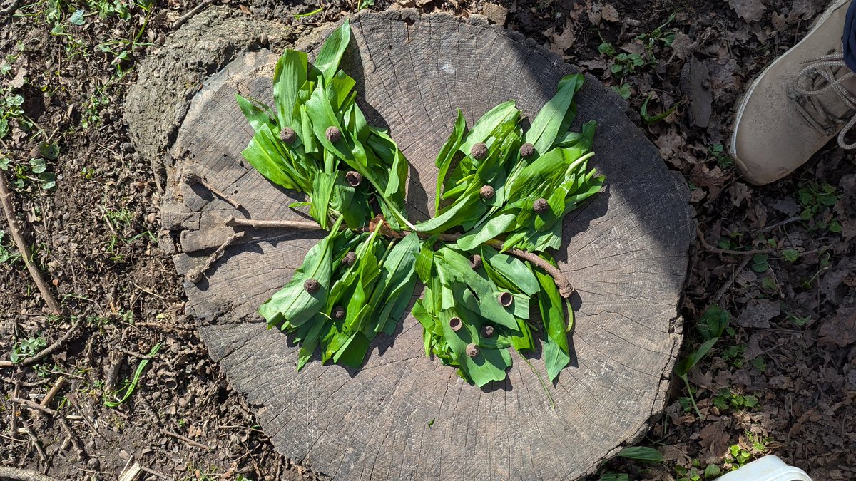 Candleby Lane tweet media