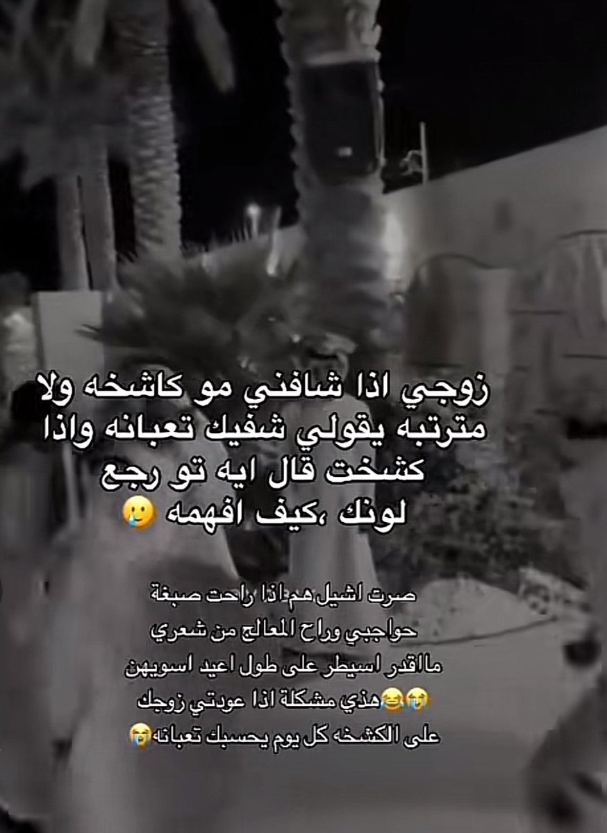 maram 🦩 tweet media