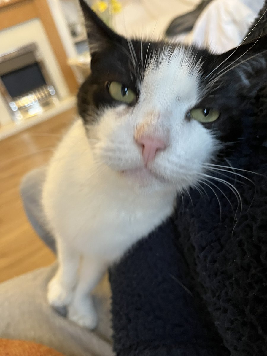 John Bridgeman Williams tweet media