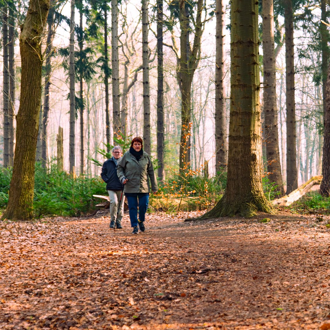 Provincie Fryslân tweet media