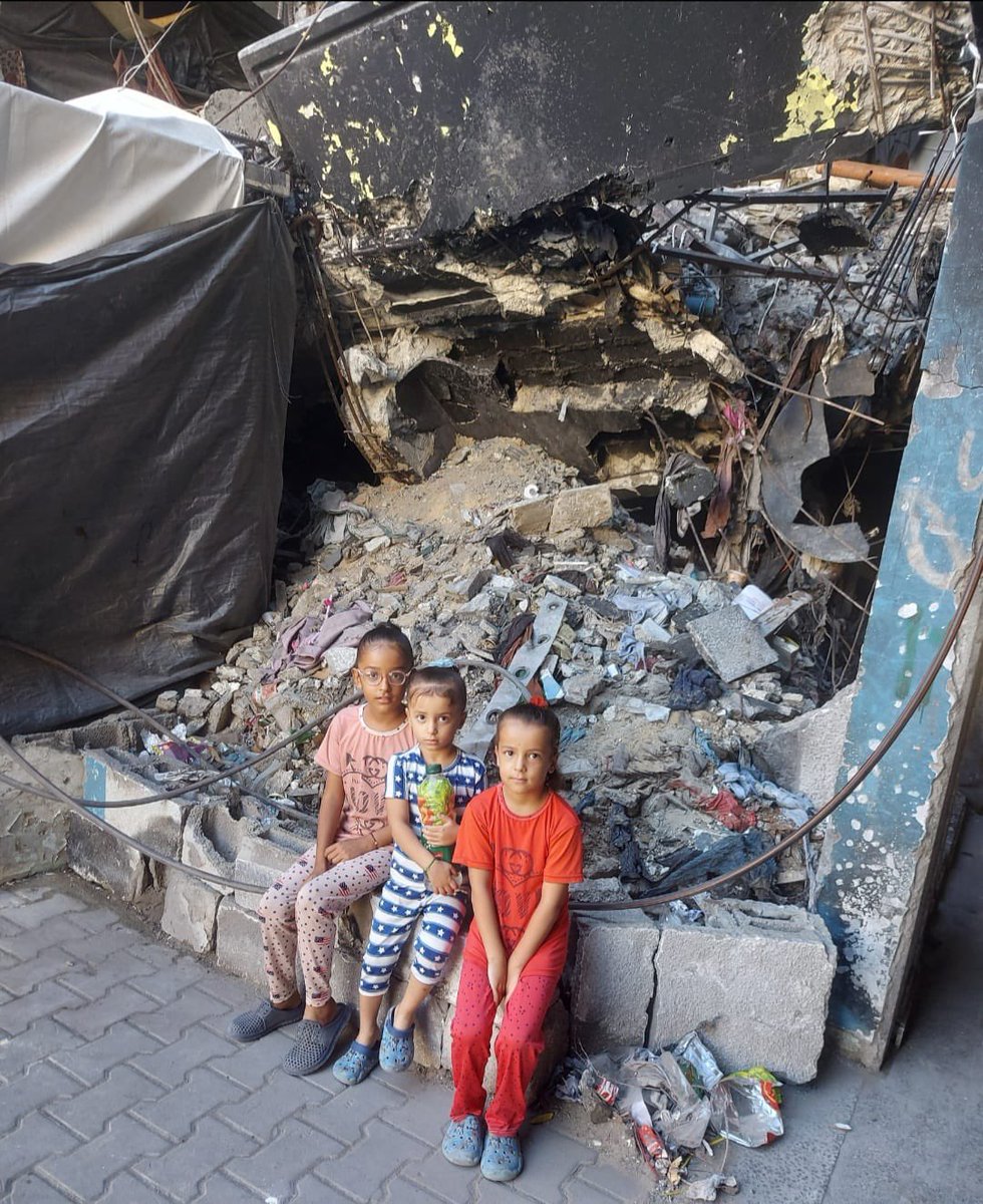 fatina sh 🍉 tweet media