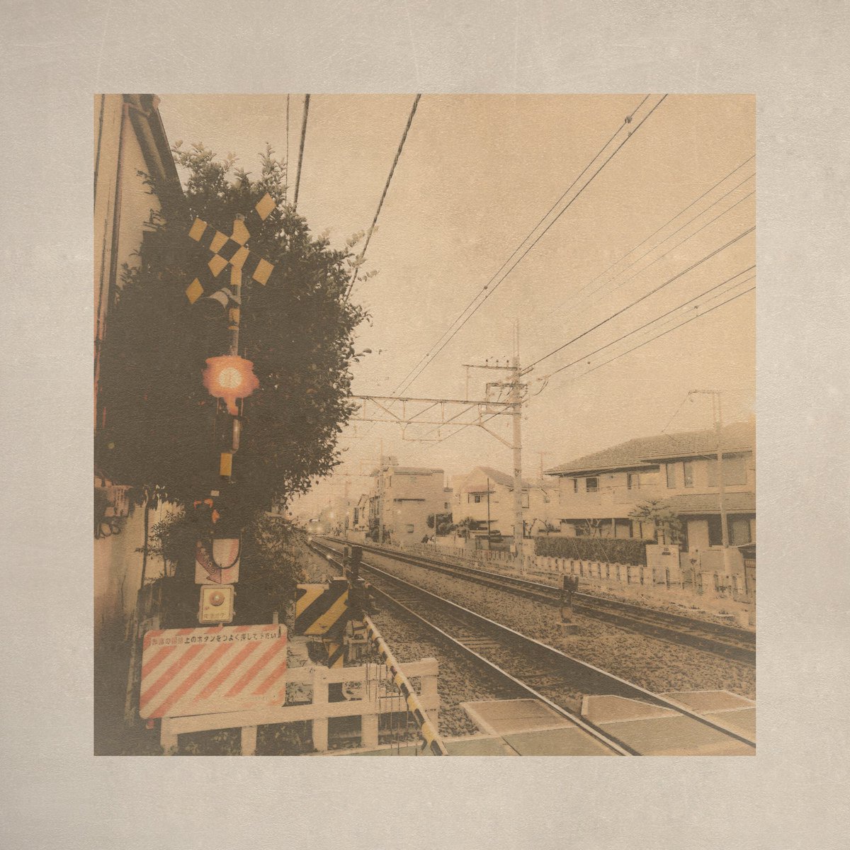 コバヤシコトリ tweet media