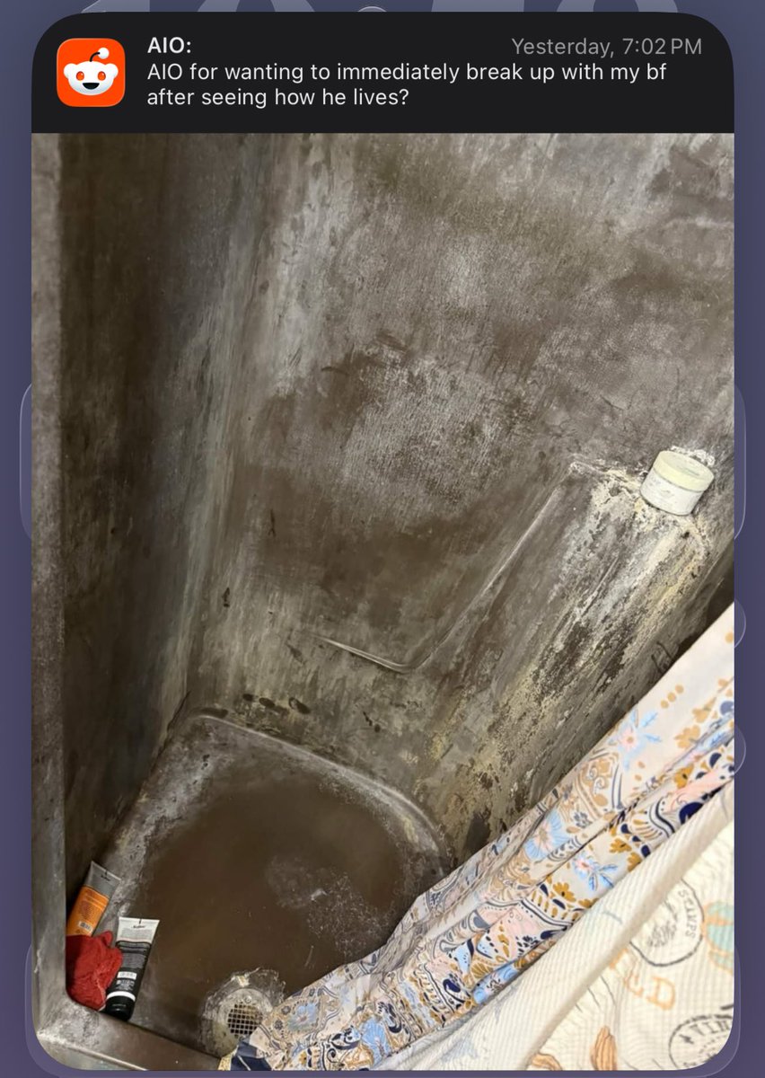 felicity shagwell ੯‧̀͡⬮ ᡣ𐭩 tweet media