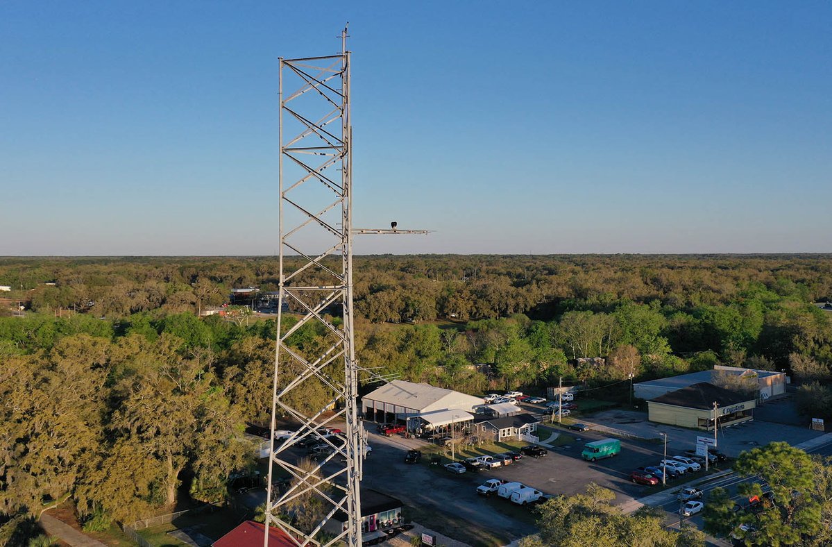 Day Wireless Systems tweet media