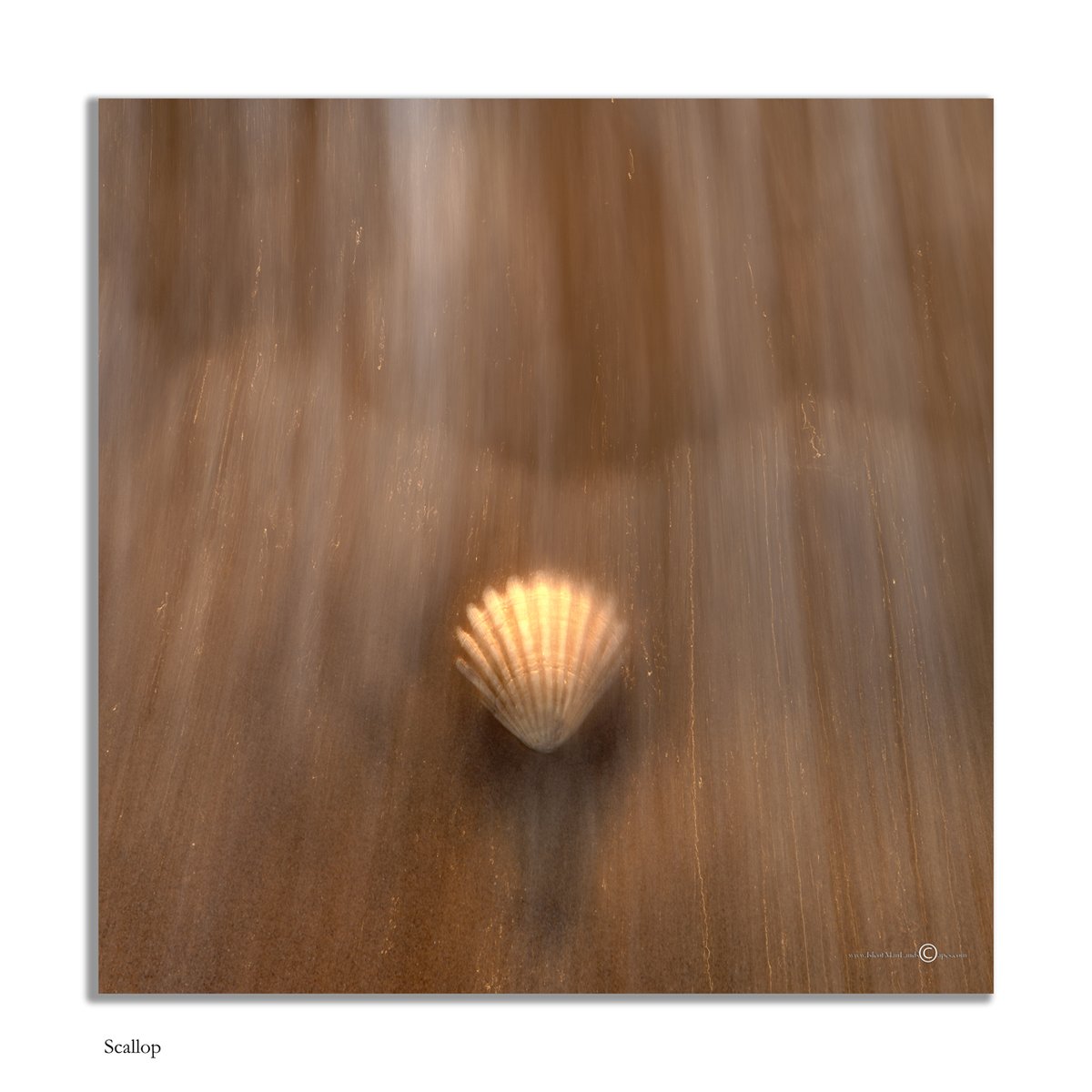 IsleofManLandscapes tweet media