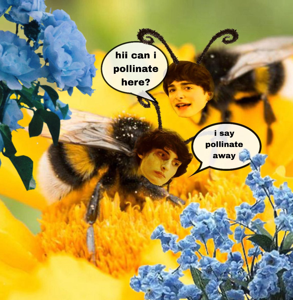 quinn ۶ৎ tweet media