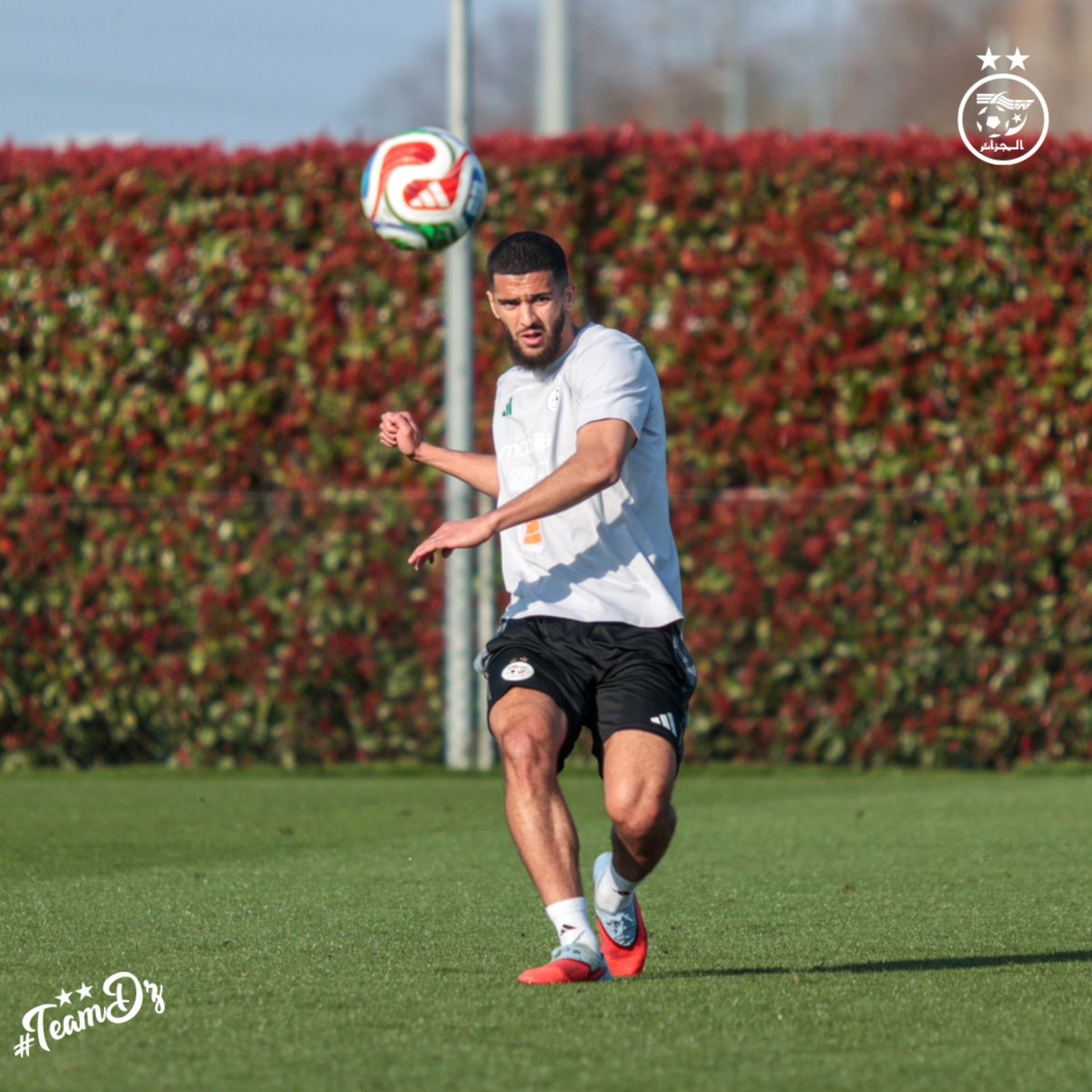 Équipe d'Algérie de football tweet media