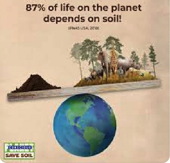 SOFIYA ZAKIROVA tweet media