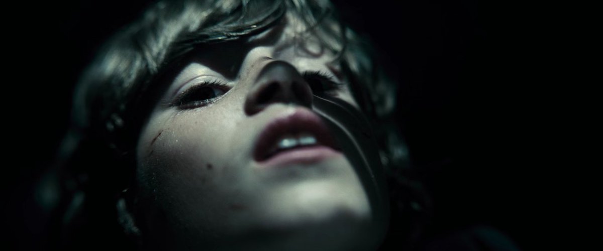 Flilis 🇧🇷 tweet media