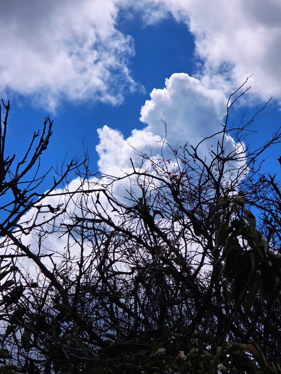 NatureSpiritPete tweet media