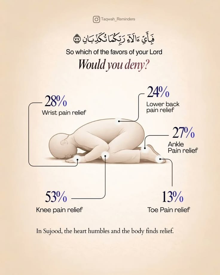 Al_Quran_011's tweet photo. reposts, it will help you🤍🕊️ https://t.co/5Ct3uKY649