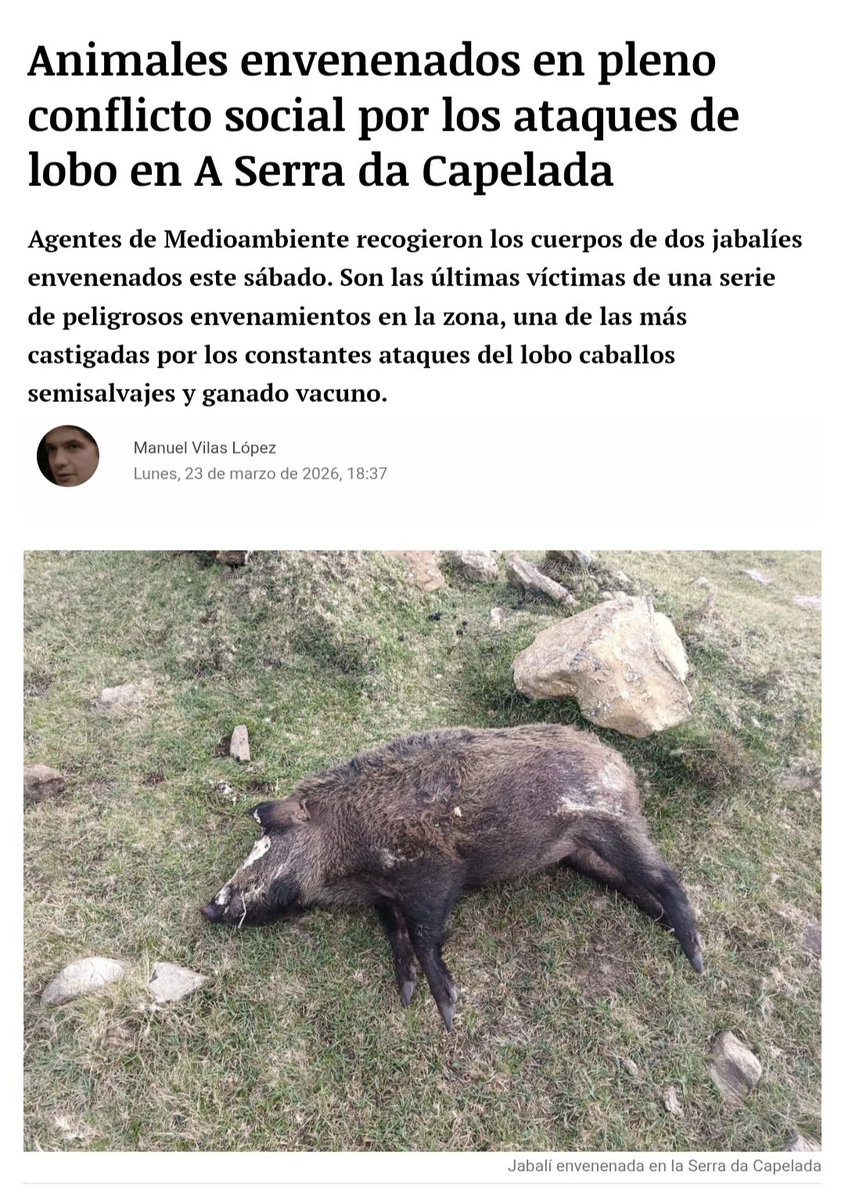 Marcoslrua tweet media