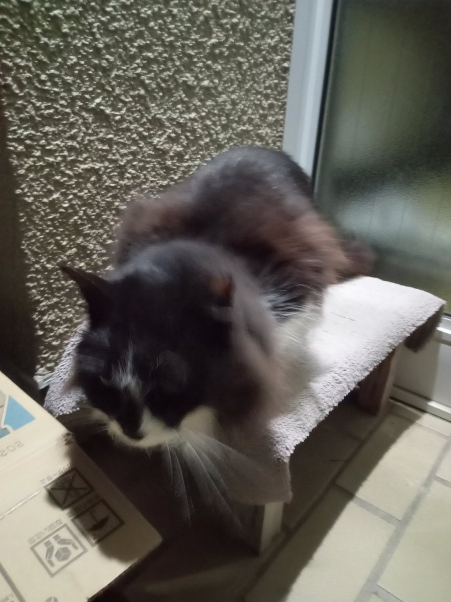 だげじー👷🌻💘　直ぐにポスト出来なくなるがなぁ😮‍💨いいねはしていくのでスンマソン🙇 tweet media