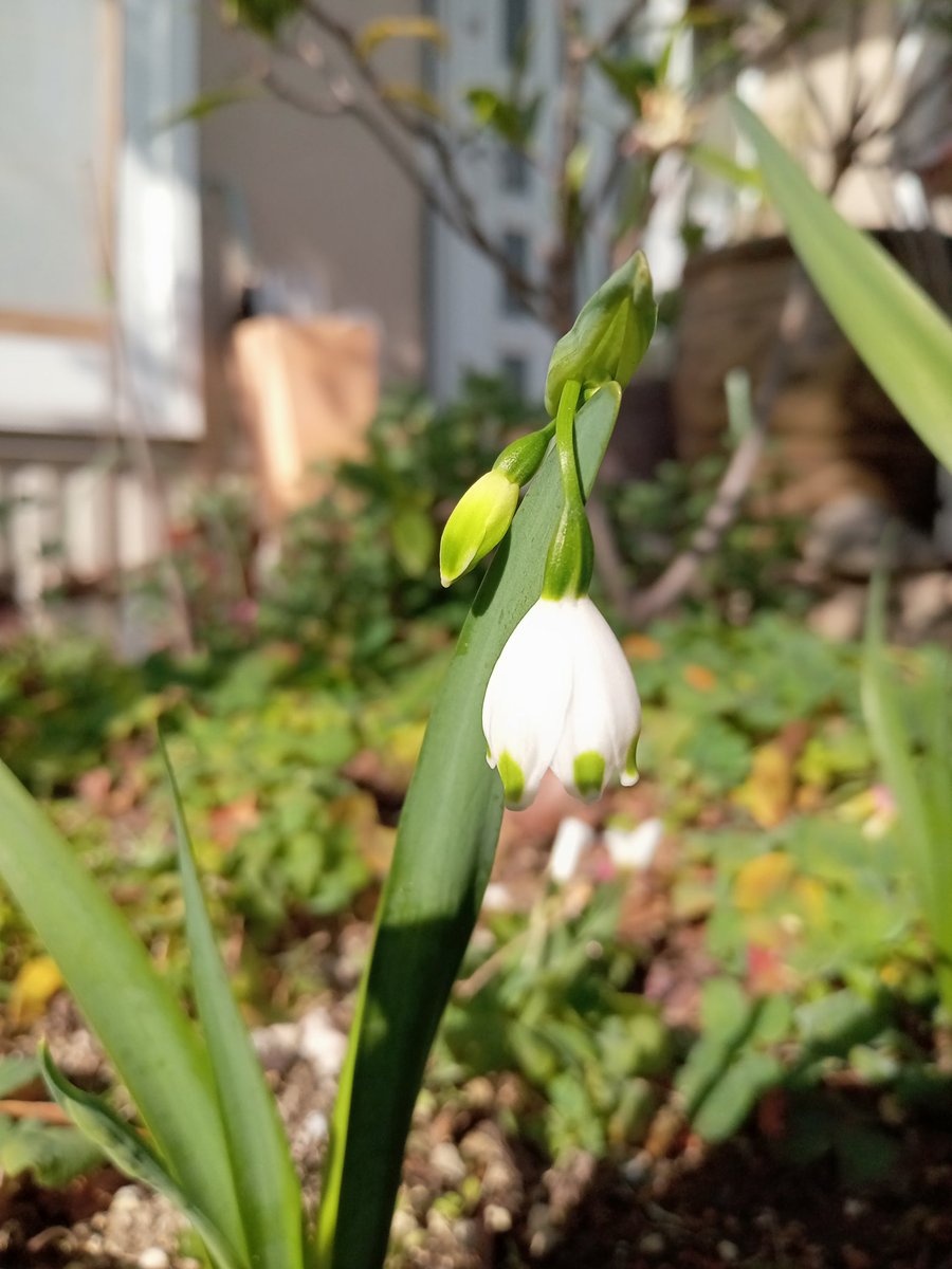 だげじー👷🌻💘　直ぐにポスト出来なくなるがなぁ😮‍💨いいねはしていくのでスンマソン🙇 tweet media