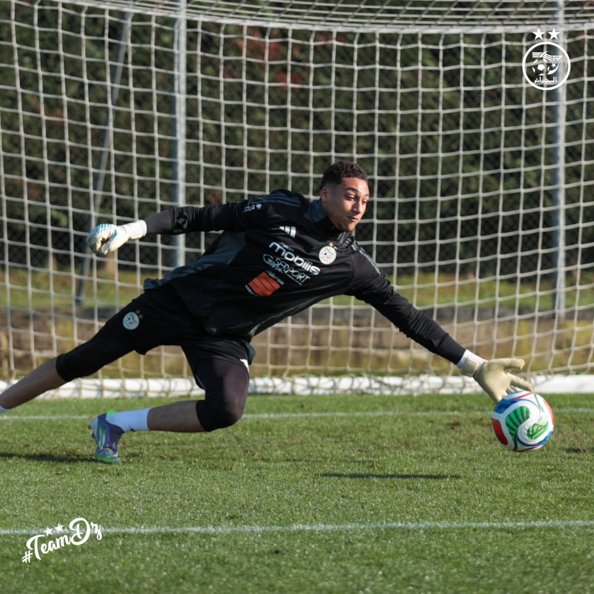 Équipe d'Algérie de football tweet media