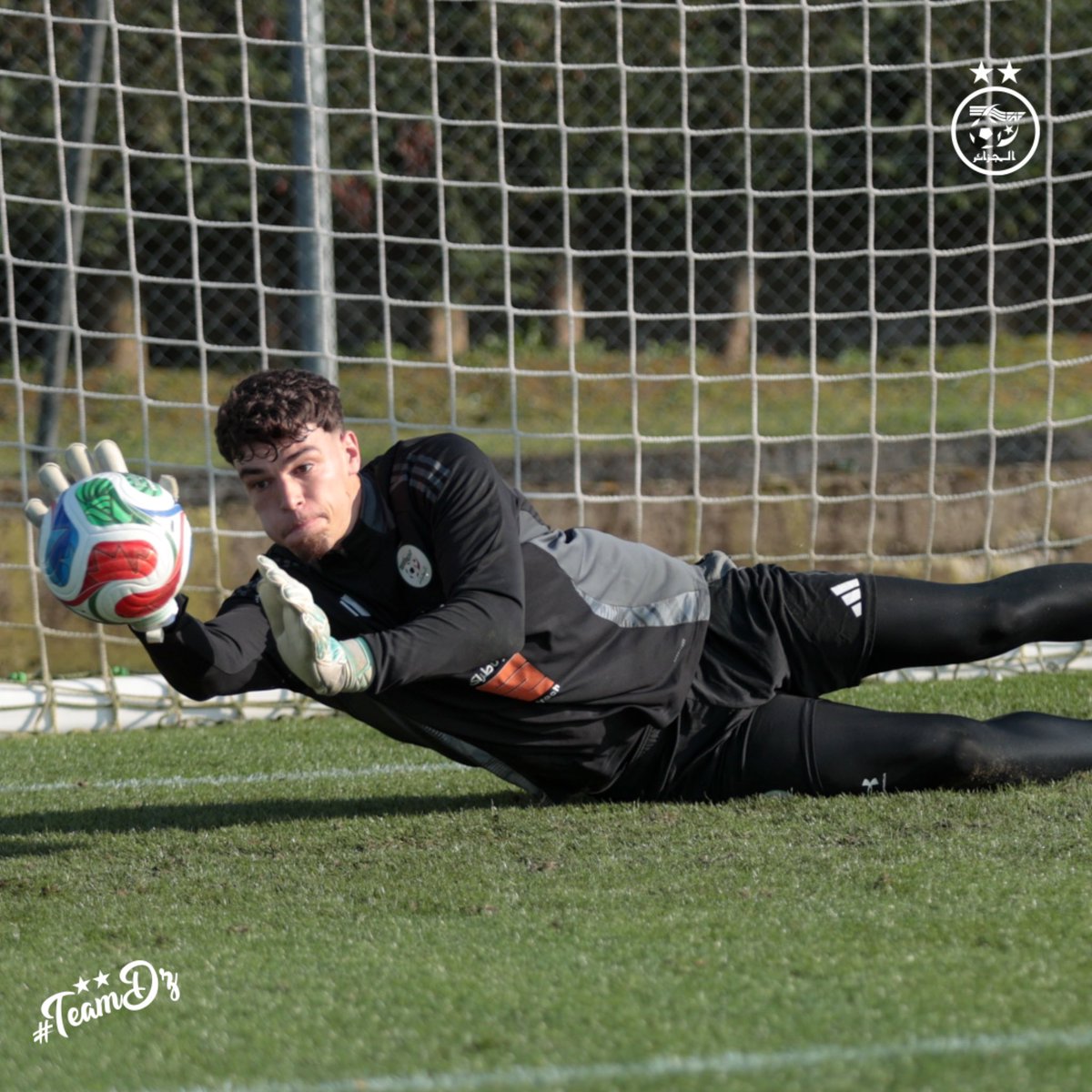 Équipe d'Algérie de football tweet media