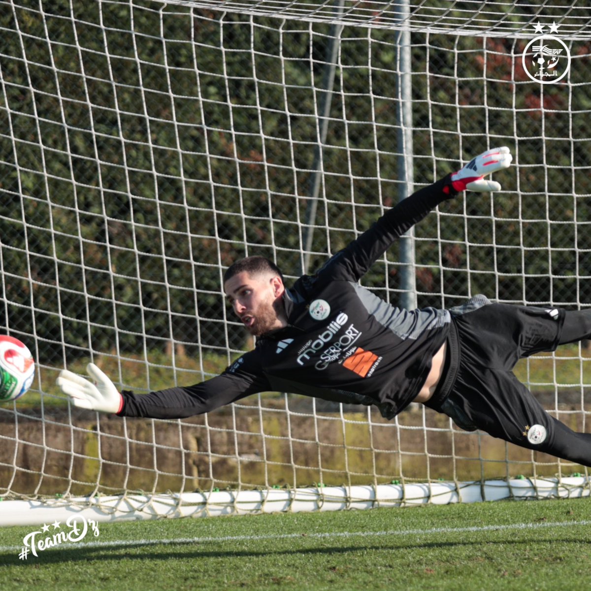 Équipe d'Algérie de football tweet media
