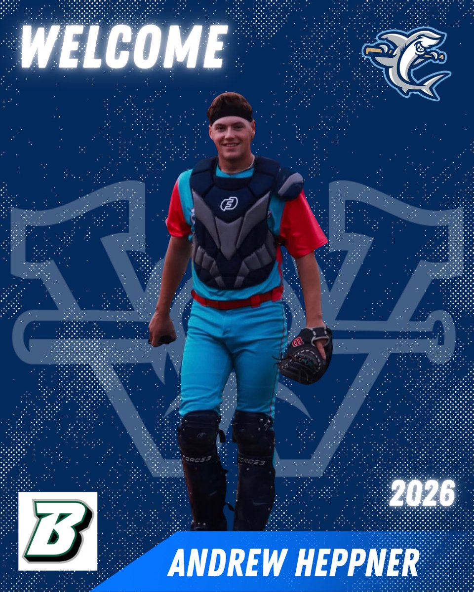 Wilmington Sharks tweet media