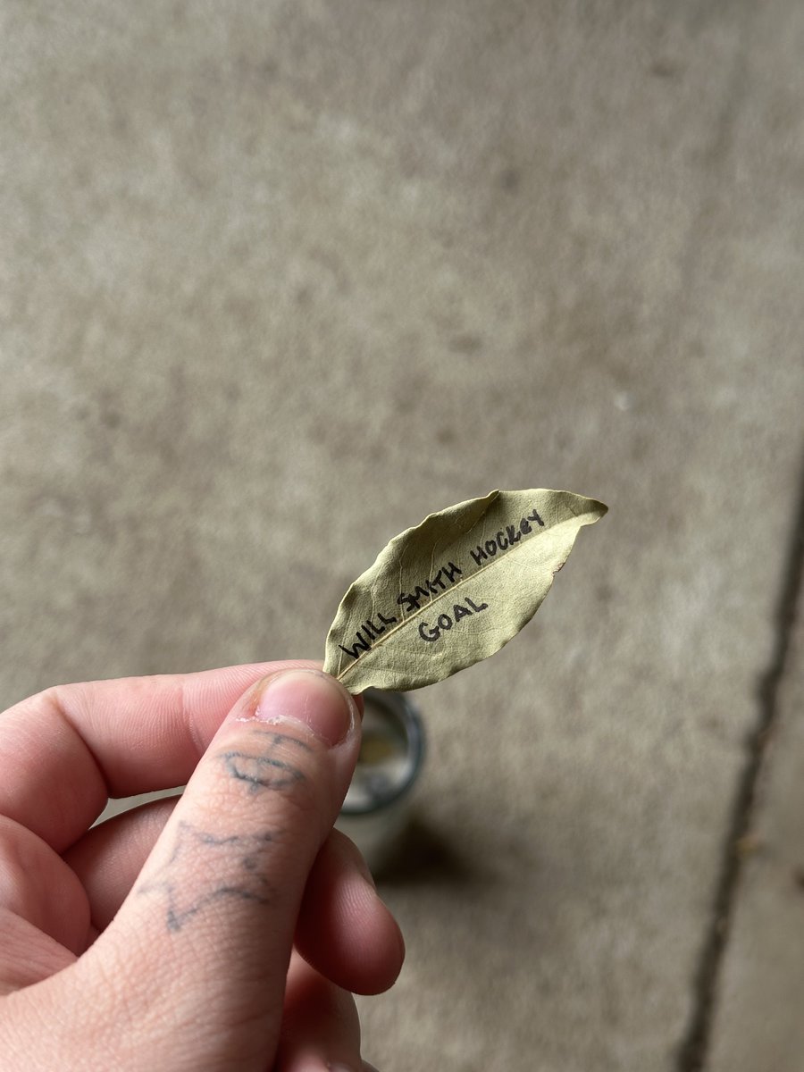 ryno 🦈 tweet media