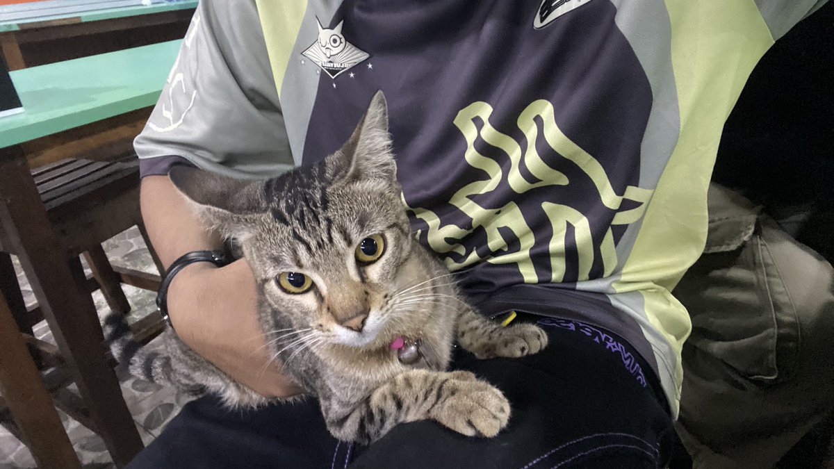 awannnawannn tweet media