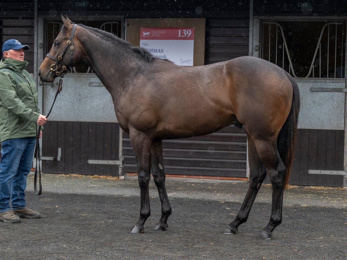 Goffs UK tweet media