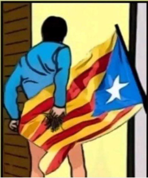 Finselsous tweet media