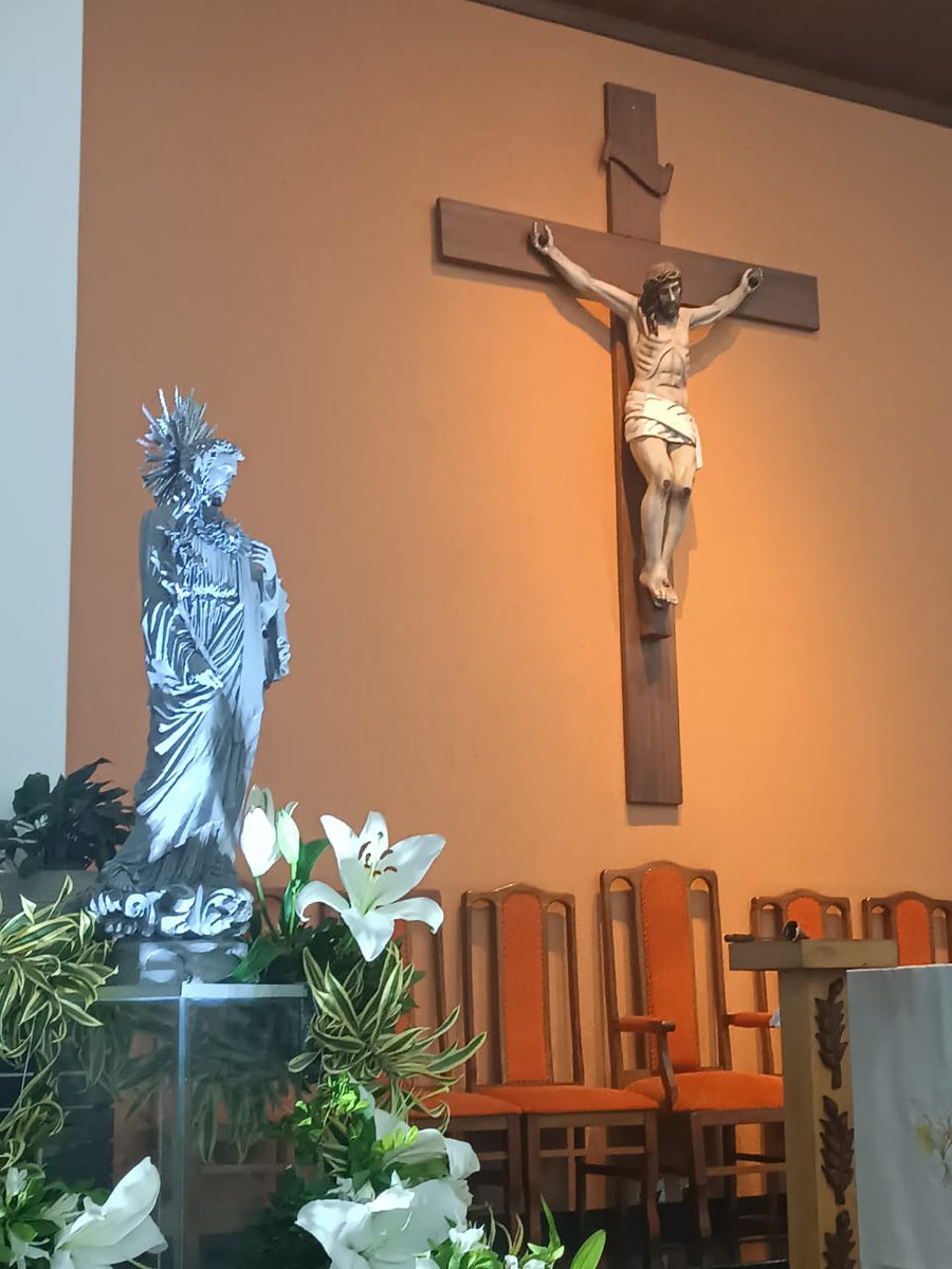 Prof. João Carlos 🇧🇷🇻🇦✝️⛪ tweet media