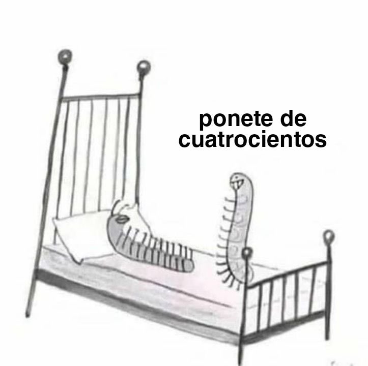 Papita Criolla ☻ tweet media