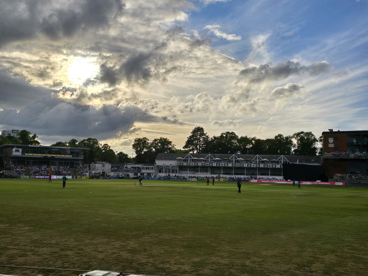 Matt Allen tweet media