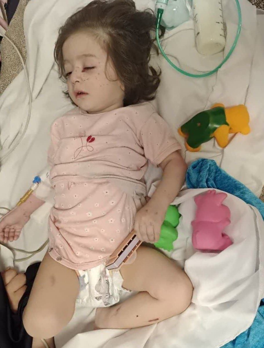 Press TV Fr tweet media