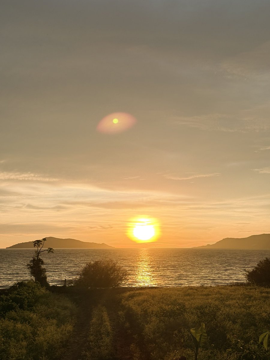 Femi One tweet media