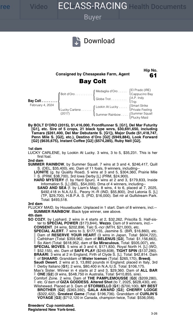 Save Horse Racing tweet media