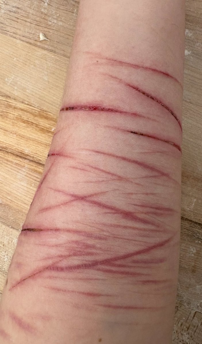 creature of shtwt tweet media