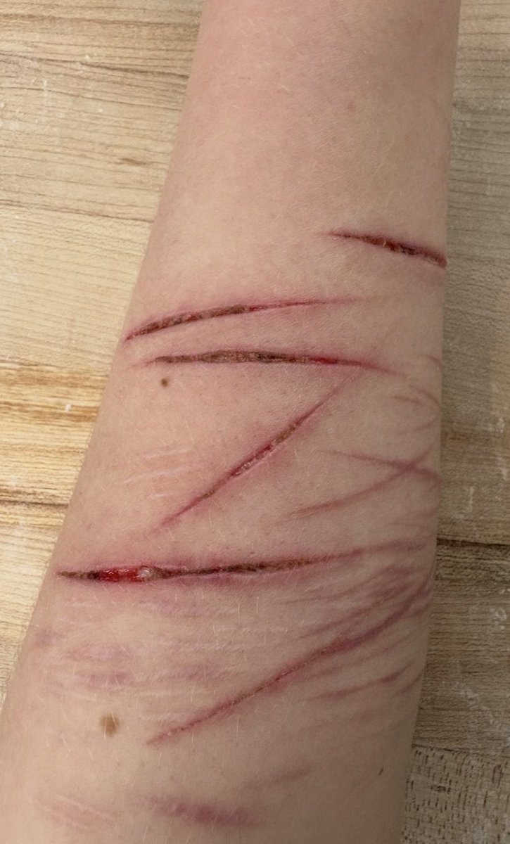 creature of shtwt tweet media